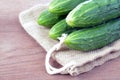 Ripe fresh organic pickle cucumber