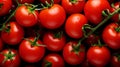 Ripe fresh organic tomatoe, bright red vegetable