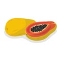 Ripe fresh papaya. Fresh natural product. Healthy nutrition.