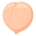 Ripe fresh peach. Vector isolated flat fruit illustration. Royalty Free Stock Photo