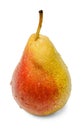 Ripe fresh pear on white isolated background. Yellow-red fruit. Water drops. Royalty Free Stock Photo