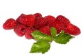 Ripe fresh raspberries Royalty Free Stock Photo