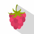 Ripe fresh raspberry icon, flat style