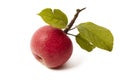 Ripe fresh red apple with leaf Royalty Free Stock Photo