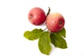 Ripe fresh red apple with leaf Royalty Free Stock Photo