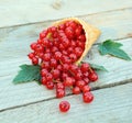 Ripe fresh red currants in ice cream waffle cone on rustic wooden background. Dietary and healthy dessert. Royalty Free Stock Photo