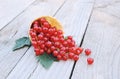 Ripe fresh red currants in ice cream waffle cone on rustic wooden background Royalty Free Stock Photo