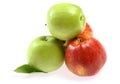 Ripe fresh red and green apple Royalty Free Stock Photo