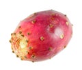 Ripe red Prickly pear fruit isolated on white background Royalty Free Stock Photo