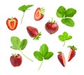 Ripe fresh red strawberry, green leaves isolated on white background. Strawberry collection. Summer delicious sweet berry organic Royalty Free Stock Photo