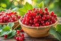 Ripe Fresh Redcurrant Berries Royalty Free Stock Photo