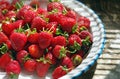 Ripe fresh strawberries on a plate. Royalty Free Stock Photo