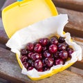 Ripe fresh tasty bio cherries in plastic lunchbox oudoors. Organic sweet berries takeaway quick food for picnic. Wooden table on b Royalty Free Stock Photo