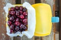 Ripe fresh tasty bio cherries in plastic lunchbox oudoors. Organic sweet berries takeaway quick food for picnic. Wooden table on b Royalty Free Stock Photo