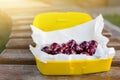 Ripe fresh tasty bio cherries in plastic lunchbox oudoors. Organic sweet berries takeaway quick food for picnic. Wooden table on b Royalty Free Stock Photo