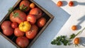 Ripe fresh tomatoes of different varieties in wooden tray market organic agriculture or farm. Top view Royalty Free Stock Photo