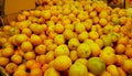 ripe fresh yellow oranges in the market. ugly fruit. Royalty Free Stock Photo