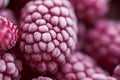 Ripe frozen raspberries close-up macro photography, selective focus, fruit background