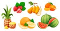 Ripe fruit composition or composing. Vector set