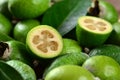 Feijoa