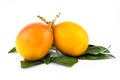 Ripe fruit yellow passion fruit grenadilla two juicy fruits on a background of green leaves Royalty Free Stock Photo