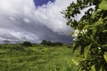 Ripe fruits and flowers on a blossoming orange tree against the background of an agricultural field and a stormy sky Royalty Free Stock Photo