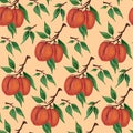 Ripe fruits of peaches, nectarines, apricots on branches with green leaves on a light beige, cream background. Seamless pattern.