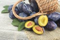 Ripe garden plums and leaves in basket on wooden table. Harvesting season. Fresh plums Royalty Free Stock Photo