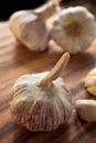 Ripe garlic bulb