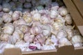 Garlic sale of vegetables hypermarket