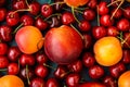 Ripe glossy sweet cherries with water drops, nectarines, apricots scattered on dark blue background, seamless pattern