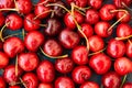 Ripe glossy sweet cherries with water drops scattered on dark blue background, seamless pattern