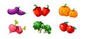 Ripe glossy vegetables, pumpkin, eggplant, pepper, beetroot, broccoli, tomato, game user interface element for video