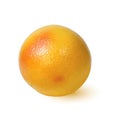 Ripe Golden appetizing grapefruit.