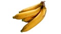 Harvested Ripe Golden Bananas Isolated on White Background Royalty Free Stock Photo