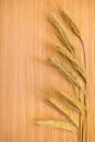 Ripe golden ears of wheat on the wooden background Royalty Free Stock Photo