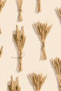Ripe golden wheat ears close up. Background with ripening ears of cereal plant. Concept of autumnal harvest time Royalty Free Stock Photo