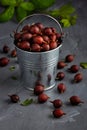 Ripe gooseberries fruit in bucket on grey wooden table Royalty Free Stock Photo