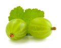 Ripe Gooseberries and Leaf Isolated on White Background Royalty Free Stock Photo