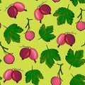 Ripe gooseberries seamless pattern.