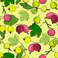 Ripe gooseberries seamless pattern.