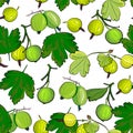 Ripe gooseberries seamless pattern.