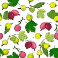 Ripe gooseberries seamless pattern.