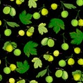 Ripe gooseberries seamless pattern.