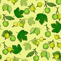 Ripe gooseberries seamless pattern.