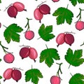 Ripe gooseberries seamless pattern. Summer berry background