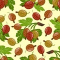 Ripe gooseberries in a vector pattern.