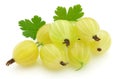 Ripe gooseberry