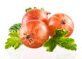 Ripe gooseberry with leaves Royalty Free Stock Photo