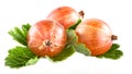 Ripe gooseberry with leaves Royalty Free Stock Photo